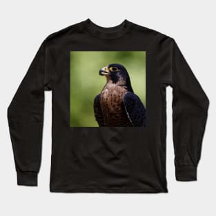 Peregrine Falcon Long Sleeve T-Shirt